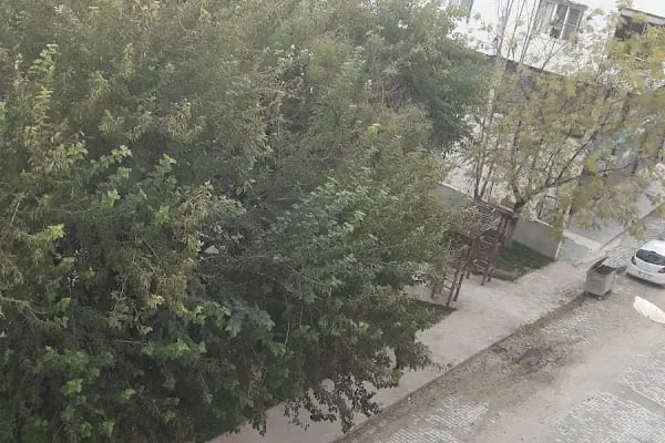 Suphi Sözmen Parkı - Resim 3