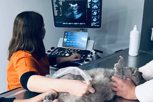 Vet&amp;Pet Veteriner Kliniği - Resim 5
