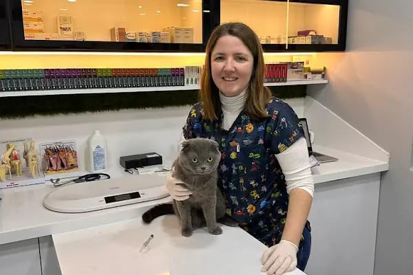 Vet&amp;Pet Veteriner Kliniği - Resim 4