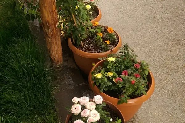 Belinay Gozleme Kahvalti Evi - Resim 15