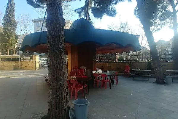 Cevizli Çınar Camii - Resim 5