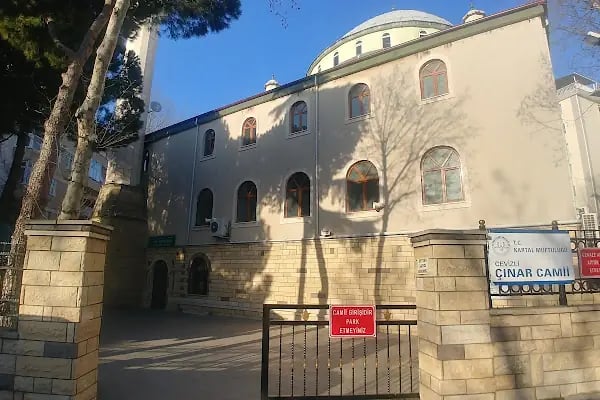 Cevizli Çınar Camii - Resim 4