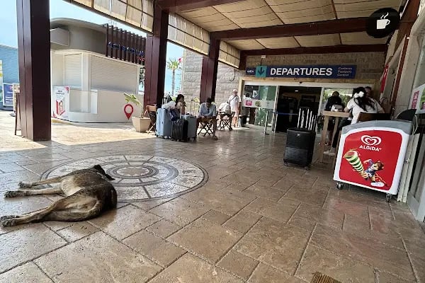 Sky Marine Ferries (Bodrum) - Resim 11
