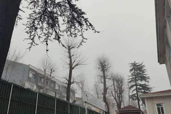Sakarya Üniversitesi Eğitim Fakültesi - Resim 12