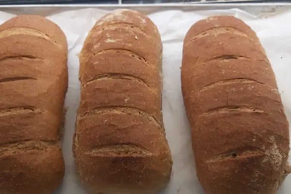 Karadavut Odunlu Ekmek Fırını - Resim 2