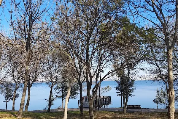 Avcılar Belediyesi Paşaeli Kent Parkı - Resim 8