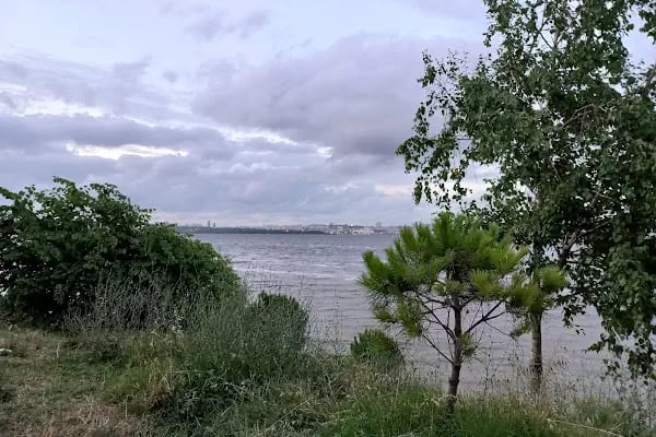 Avcılar Belediyesi Paşaeli Kent Parkı - Resim 7