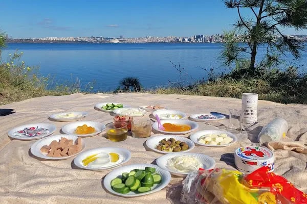 Avcılar Belediyesi Paşaeli Kent Parkı - Resim 19