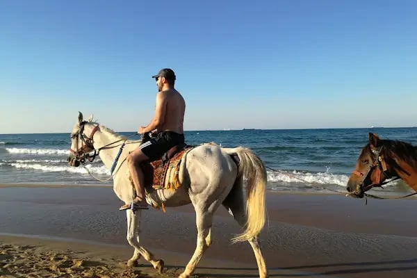 Gümüşdere Plajı - Resim 6