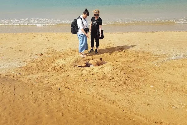 Gümüşdere Plajı - Resim 9
