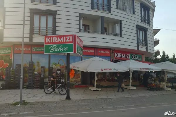Kırmızı Bahçe - Resim 16