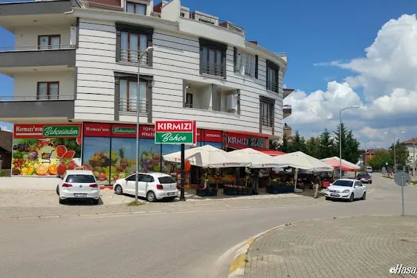 Kırmızı Bahçe - Resim 20