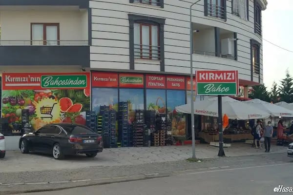 Kırmızı Bahçe - Resim 10