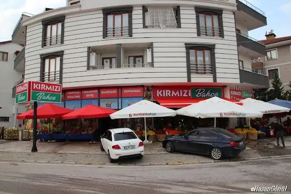 Kırmızı Bahçe - Resim 5