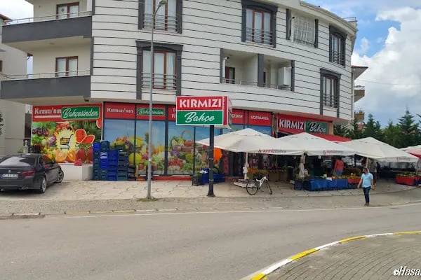 Kırmızı Bahçe - Resim 14