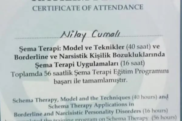 Psikiyatrist Dr. Nilay Cumalı Muayenehanesi - Resim 6