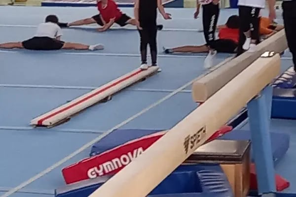 Cemal alpman cimnastik salonu - Resim 15