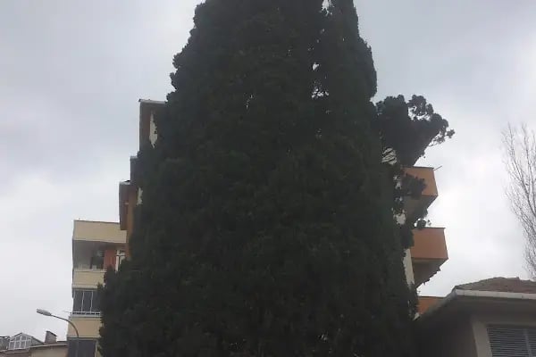Evliyaullah Tan Şeyh Kemikli Hazretleri Türbesi - Resim 4