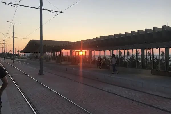 Mithatpaşa Parkı - Resim 20