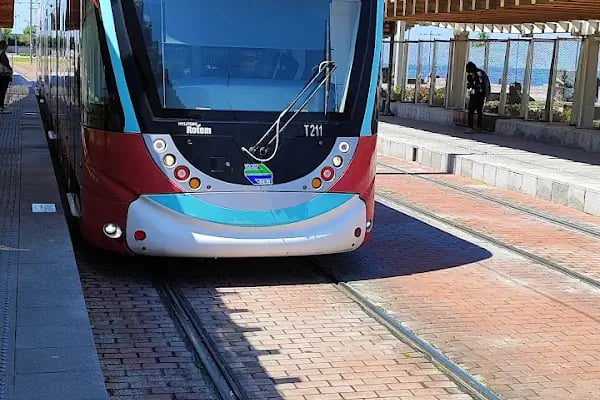 Mithatpaşa Parkı - Resim 19