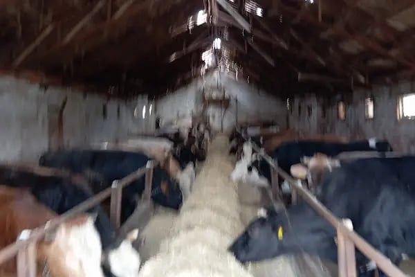 Kalaba Mahallesi Muhtarlığı - Resim 4