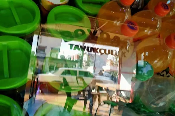 Boydak Tavukçuluk - Resim 15