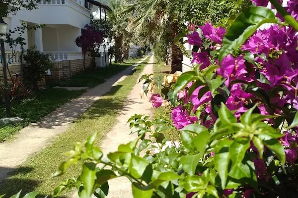 Anamuryum Mavi İnci Tatil Sitesi - Resim 15