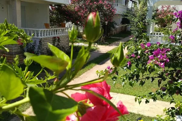 Anamuryum Mavi İnci Tatil Sitesi - Resim 16