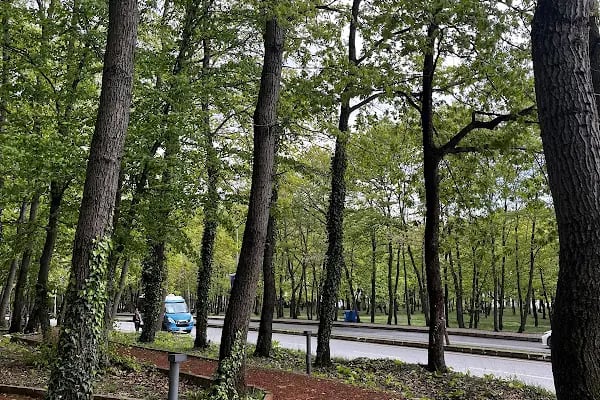 Sakarya Üniversitesi - Resim 8