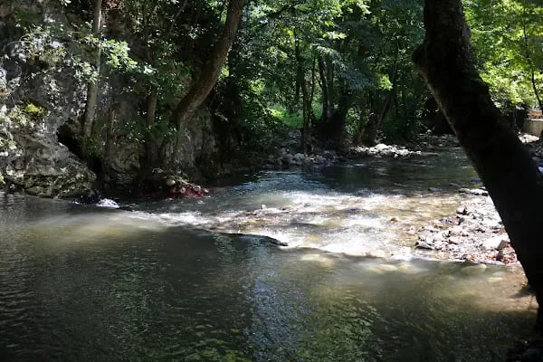 Beşkayalar Camping - Resim 2