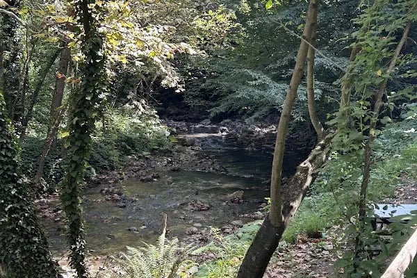 Beşkayalar Camping - Resim 12