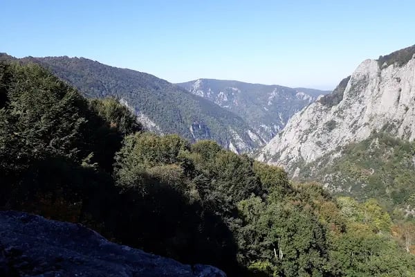 Beşkayalar Camping - Resim 9