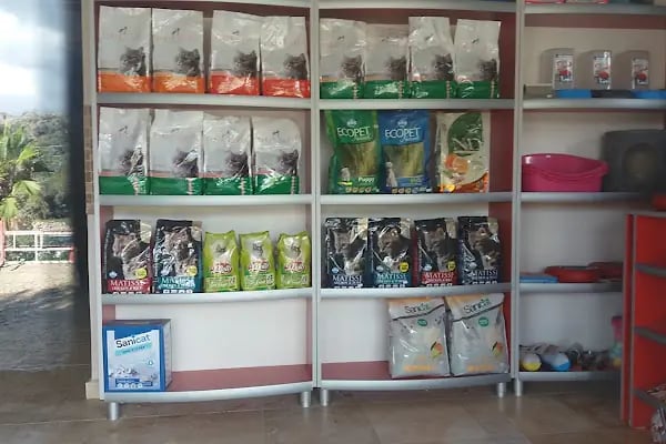 Countryranch Kahvaltı Ve Organizasyon - Resim 13