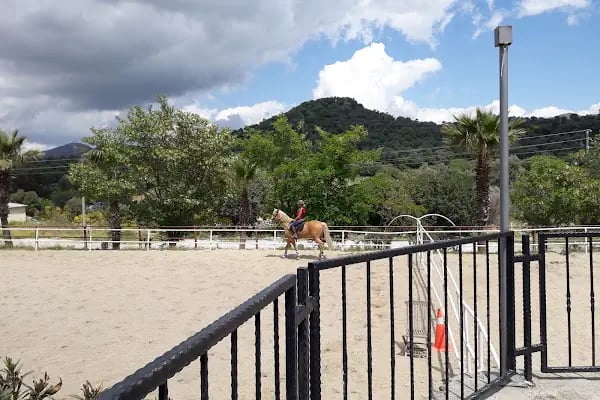 Countryranch Kahvaltı Ve Organizasyon - Resim 9