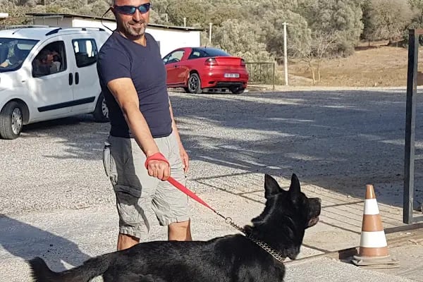 Countryranch Kahvaltı Ve Organizasyon - Resim 14
