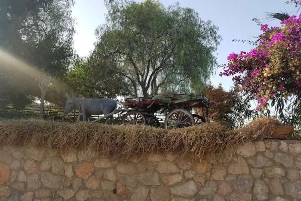 Countryranch Kahvaltı Ve Organizasyon - Resim 19