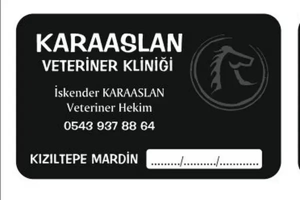 KARAASLAN VETERİNER POLİKLİNİĞİ - Resim 4