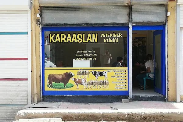 KARAASLAN VETERİNER POLİKLİNİĞİ - Resim 2