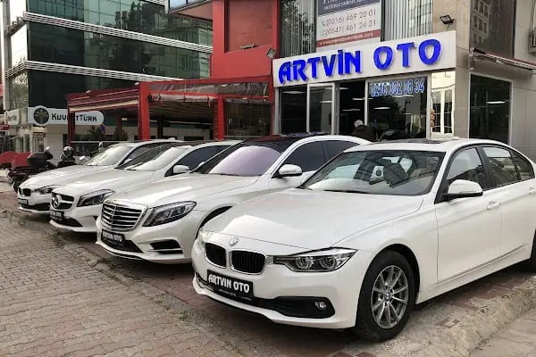 Artvin Oto - Resim 6