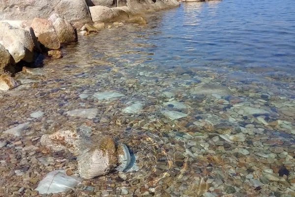Acar Camping - Resim 18