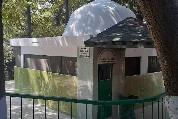 Hz Mikdad El Esved Türbesi - Resim 14