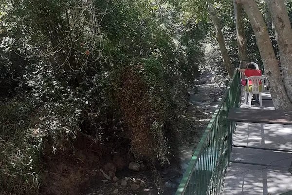 Hz Mikdad El Esved Türbesi - Resim 10