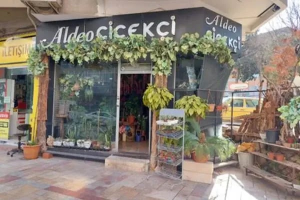 Aldeo çiçekçilik - Resim 2