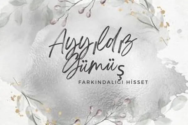 Ayyıldız Gümüş - Resim 2