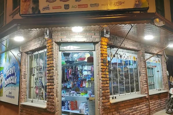 Çarşı Akvaryum - Resim 5
