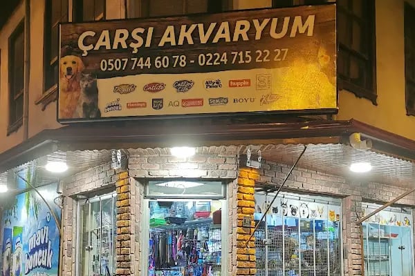 Çarşı Akvaryum - Resim 2