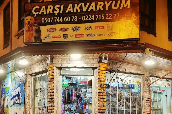 Çarşı Akvaryum - Resim 8