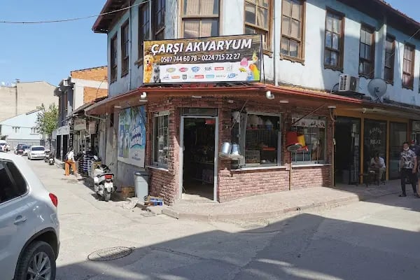 Çarşı Akvaryum - Resim 12