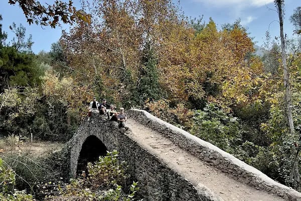 Çıplak Değirmen - Resim 9