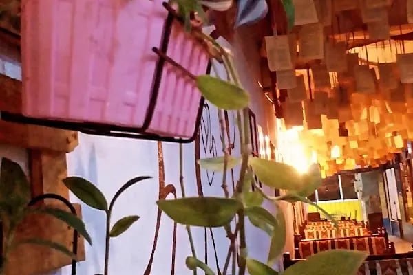 Cafe Papirüs - Resim 19